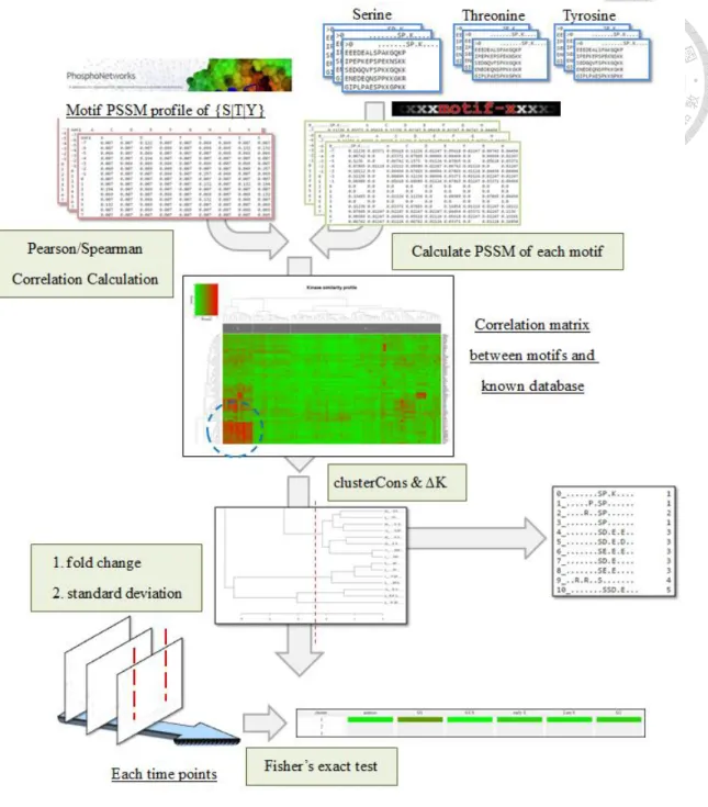 Figure 9 The analyzing flow of kinase activation profile module 