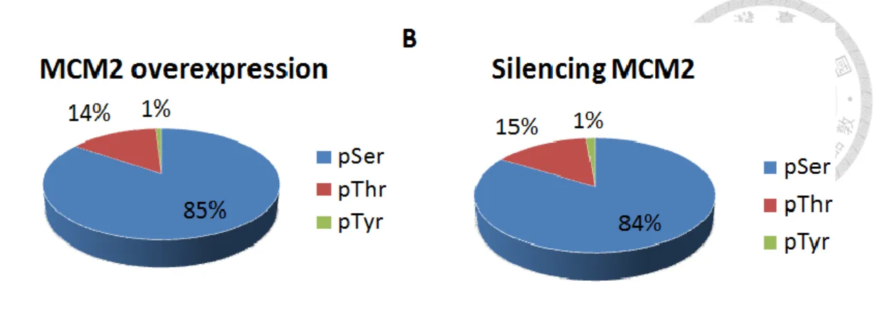 Figure  9.  Distribution  of  phosphorylated  serine,  threonine,  and  tyrosine  sites