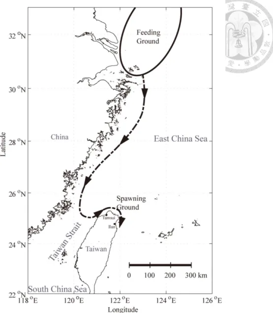 Figure  1.  Hypothetical  spawning  migration  route  of  Japanese  anchovy  from  the  coastal  area  nearby  the  Yangtze  River  mouth  to  the  coastal  area  of  Taiwan