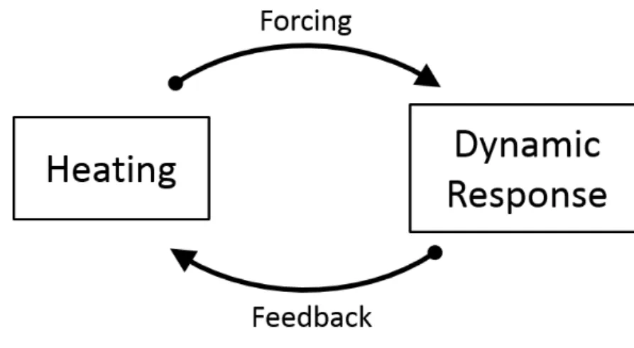 Figure 2: General scheme of a tropical cyclone system. Heating is treated as a forcing to generate dynamic response which feedbacks to heating at the same time