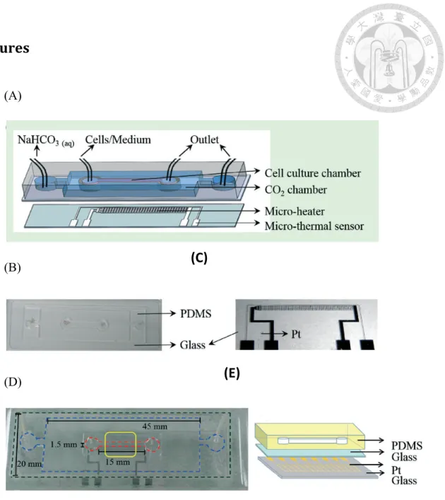 Figure 1. Design and fabrication of the microfluidic chip 