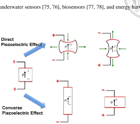 Figure 2-1. The working function of positive and converse piezoelectric effect. 