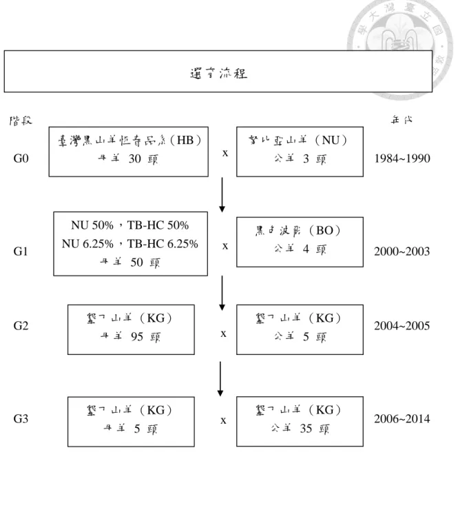 圖  3  墾丁山羊選育流程圖。 