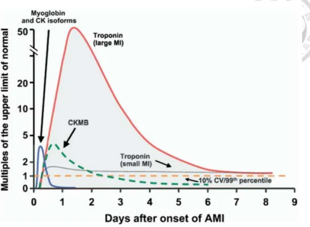 Figure 1-1 Timing of concentrations of various biomarkers released after acute  myocardial infarction [3]