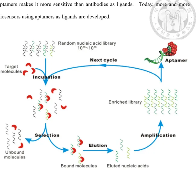 Figure 1-3 Schematic process of SELEX [15]. 