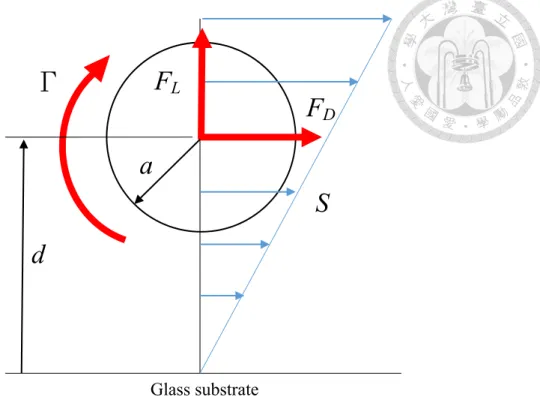 Figure 3-2 Forces and torques acting on a sphere in shear flow 