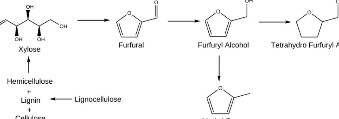 Figure 5 Schematic of reductive upgrading pathway for biomass   derived xylose [10]