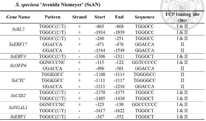 Table 5     Summary of TCP binding sites predicted from the 5' regulatory region of  S