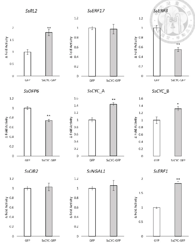 Figure 2    Dual-luciferase assay result 