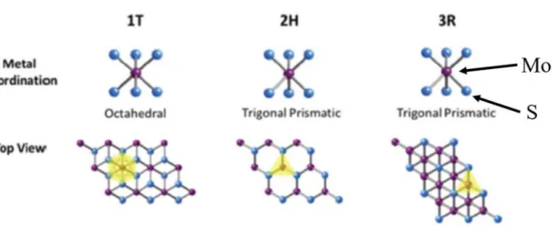 Fig. 1.4 The metal coordination and top view of 1T, 2H, and 3R phase. 