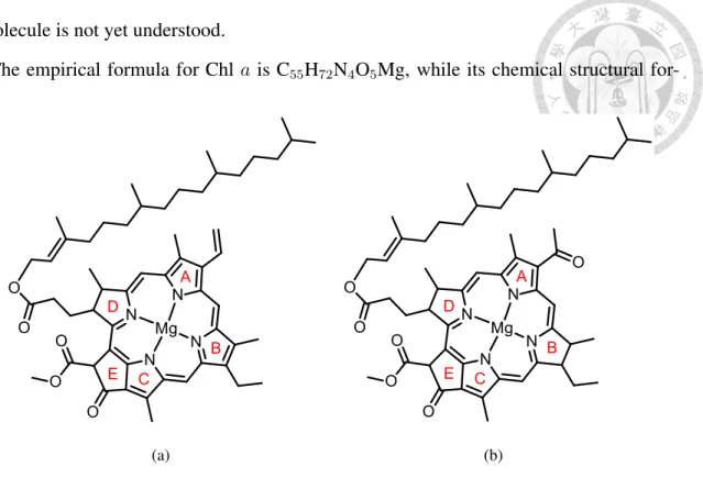 Figure 1.1: Molecular structures of (a) Chl a (b) BChl a. The five rings are lettered A, B, C, D and E conversionally.