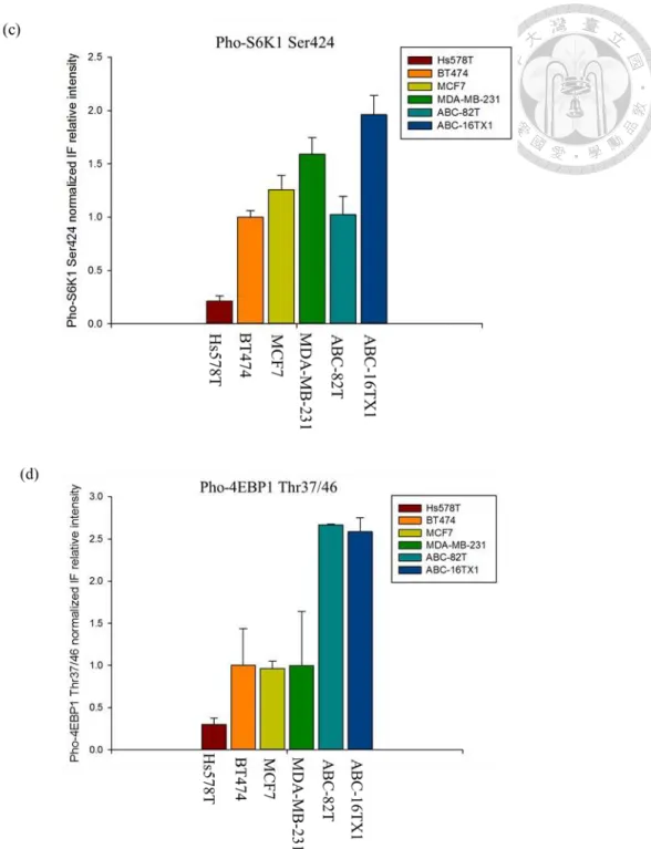 Figure 7 IF expression for BT474, MCF7, ABC-82T, and ABC-16TX1 cells without  Everolimus and the normalized IF intensity