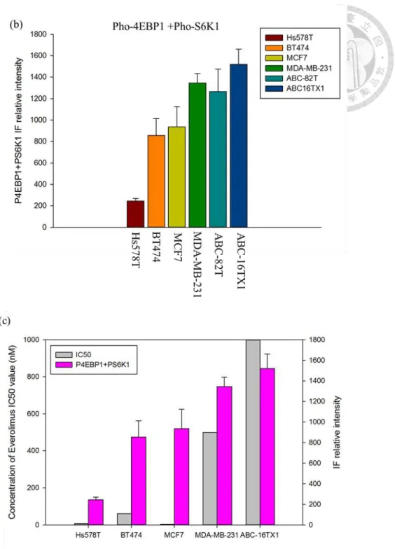 Figure 8 Combined IF expression of pho-4EBP1 Thr37/46 and pho-S6K1 Ser424 for  cell lines