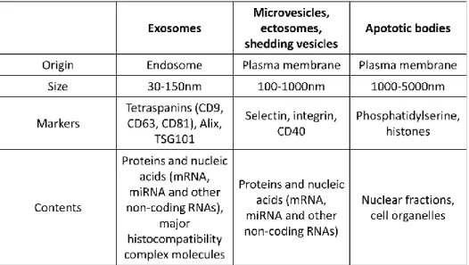 Table 1 Classification of extracellular vesicles. [7] 