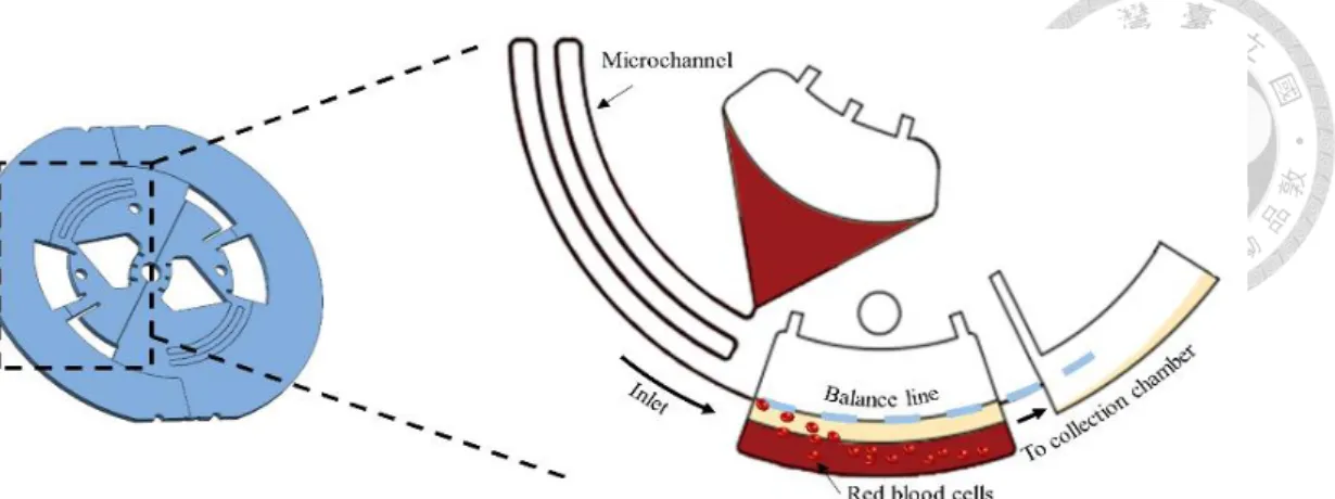 Figure 2.1 The basic principles of RBCs separation. RBCs are sediment at the bottom 