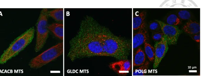 Figure 9. Most candidate MTSs from UniProt are not suitable for mito-Cas9 