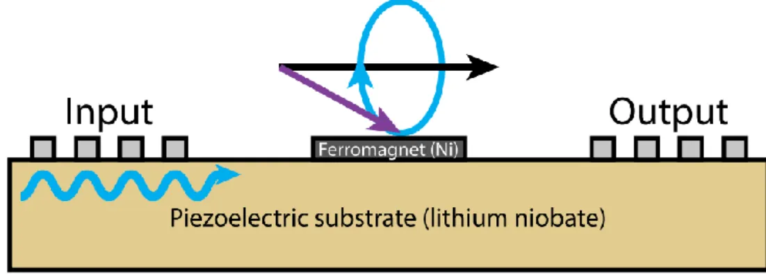 Fig. 2.12. SAWs are generated in a piezoelectric substrate by applying an AC  voltage to the Input IDT [74]