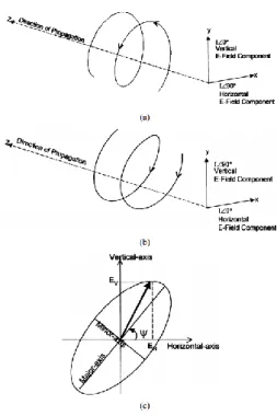 Fig. 3.2. The sketch of the AlN-based solidly mounted resonator operated in thickness  shear mode waves [79] 