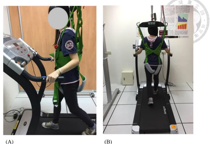 Figure 2. Treadmill training from (A) lateral view, and (B) posterior view 
