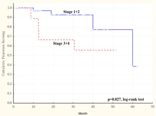 Figure 1. 4 Kaplan-Meier survival curve showing relation between AKR1B10 expression  in primary tumors and survival in 77 patients with oral squamous cell carcinoma (OSCC)