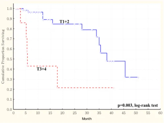 Figure 2. 3 Kaplan-Meier survival curve showing a significant relation between saliva  AKR1B10 expression in 86 patients with oral squamous cell carcinoma (OSCC) and the  tumor size of these 86 OSCC patients