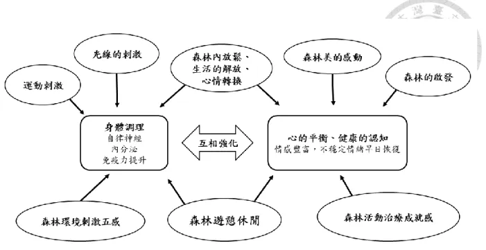圖 2-4  森林遊憩休閒對於健康的影響  資料來源：瀧澤紫織（2006），引自林一真等人（2011）  (二)  感官體驗的效益  森林療癒著重於五感的體驗，在森林中透過眼、耳、鼻、手腳觸覺等感官體驗森林。在 森林療癒嚮導的帶領下，參加者打開感官的感受力，體驗森林的療癒效果（曾宇良、佐藤  宣 子，2012），如 Yu 等人（2017）森林療癒的研究即使用感官體驗作為森林療癒的主要活動元 素。事實上，森林中的感官刺激已證實對人體具有效益（Franco, Shanahan, &amp; Fuller, 20