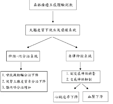 圖 2-5  森林療癒壓力恢復機制圖。資料來源：改自余家斌等人（2017）。 