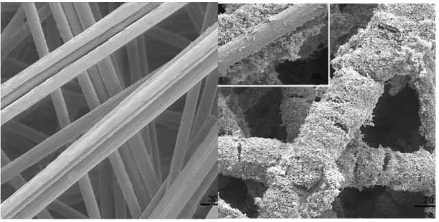Figure 2-4 Scanning electron microscopy images on carbon fiber veil: (A) (500×) before  inoculation ,and (B) (500×), inset (2000×) after inoculation.[37]