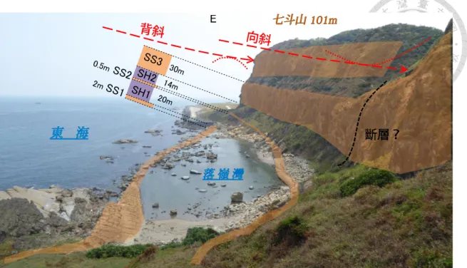 圖 3.3  調查區域全景及地層描繪  本研究經現地調查，將落嶺灣附近依照岩性分為五個地層單位，按層序由下而 上分別為：SS1、SH1、SS2、SH2、SS3，其中 SS 代表砂岩、SH 代表頁岩，層厚 分別約 2、20、0.5、14、30 公尺。又根據層面位態分布判斷，此處之地質構造有 向斜、背斜各一，兩者之褶皺軸部分別約略通過落嶺灣、七斗山，其軸部走向均接 近南北向，且向南傾沒。此區域地形主要即由砂岩、頁岩之差異侵蝕以及褶皺所控 制，向斜、背斜分別形塑了內凹的落嶺灣以及較高聳的七斗山。其中向斜軸部可能 