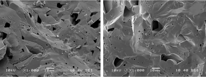 Fig. 3-11 Typical fracture surfaces micrographs of Ba 5 Nb 4 O 15  specimens sintered at  (a) 1350°C (b) 1435°C   