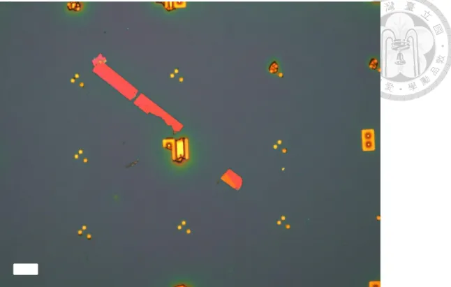 Fig. 2.4 Exfoliated rectangular BP on 300nm SiO 2 /Si substrate under  optical microscopy