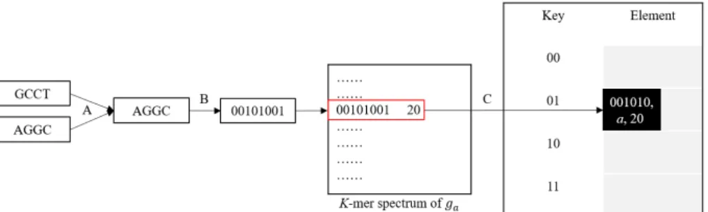 Figure 3.1: From a k­mer to an element in the hash table