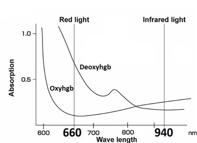 Figure 1.2 Absorption of hemoglobin and oxyhemoglobin 