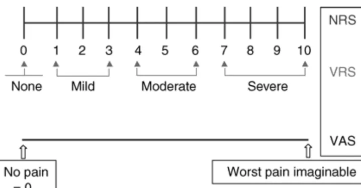 Figure 2.4 Pain assessment tools NRS : Numerical rating scales, VAS : visual 