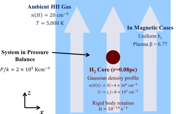 Figure 3.1: Initial conditions before the core relaxation
