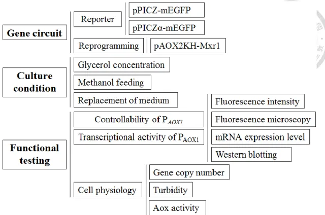 Figure 3. The schematic structure of this study 