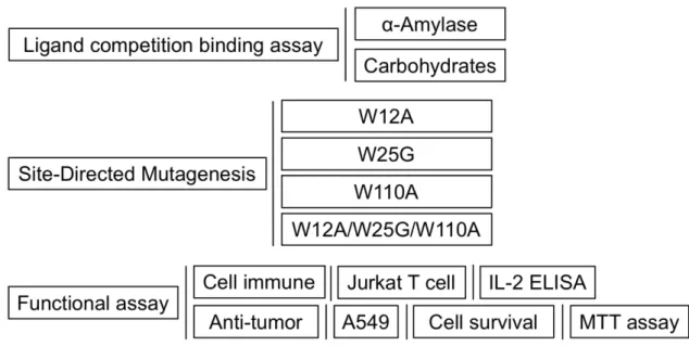 Figure 4. Schematic framework of this study 