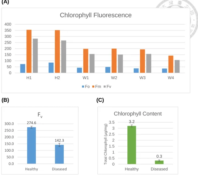 Figure 7. Chlorophyll fluorescence and content measurement. 