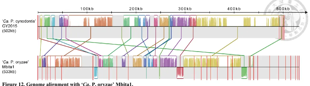 Figure 12. Genome alignment with ‘Ca. P. oryzae’ Mbita1.