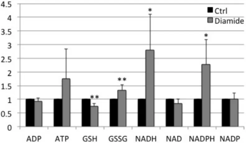 Figure 3. Diamide affected redox status of glutathione, NADH and NADPH 