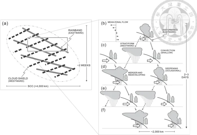 Figure 1.8.  Schematic  of  the  mesoscale  structure  of  the  super  cloud  cluster  (SCC)  during MISMO, (a) view in the zonal–time section and (b)–(f) series of the zonal–vertical  sections