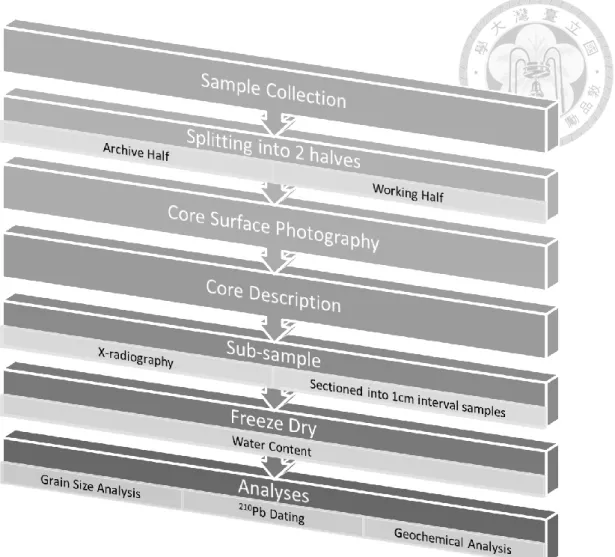 Figure 2-2  Flowchart of the sample treatment. 