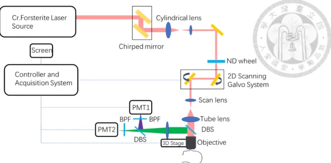 Fig. 3.2.1 A schematic diagram of the optical harmonic generation microscopy system used in the clinical trials