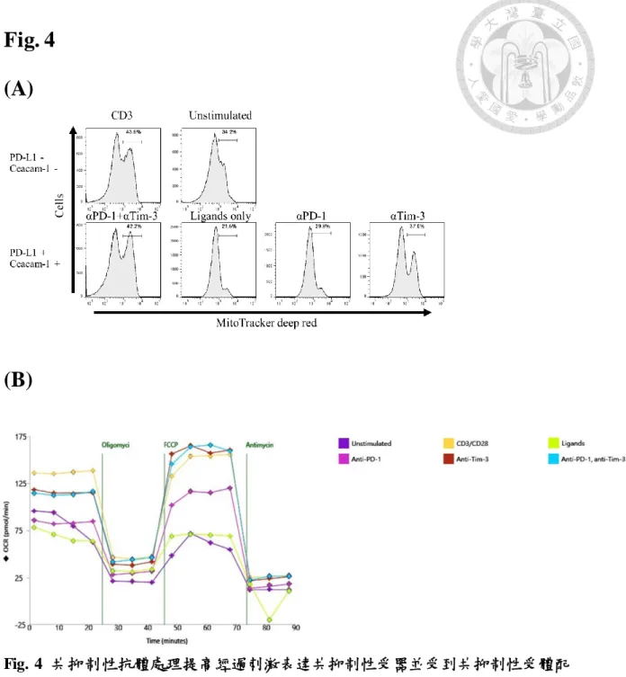 Fig. 4  (A)  (B)  Fig.  4  共抑制性抗體處理提高經過刺激表達共抑制性受器並受到共抑制性受體配 體處理之 T 細胞之粒線體膜電位比例、氧氣消耗速率  (A) 取出小鼠脾臟之未活化 T 細胞先行刺激 48 小時表現出共抑制性受器，並在之 後額外 48 小時刺激過程中以 Tim-3、PD-1 ligand 處理，以 MitoTracker  Deep  Red 偵測粒線體膜電位變化 
