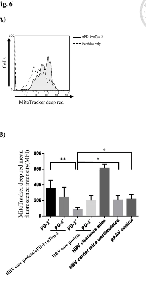 Fig. 6  (A)  (B)  P D -1+ P D -1 -P D -1+ P D -1 -H B V  c le a ra n c e  m ic e H B V  c a rr ie r  m ic e  u n s ti m u la te dpAA V  c o n tr o l02 0 04 0 06 0 08 0 0100 