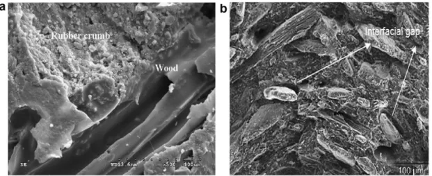 Fig. 7  SEM of WPC with (a) sufficient coupling agent and (b) insufficient PMDI 