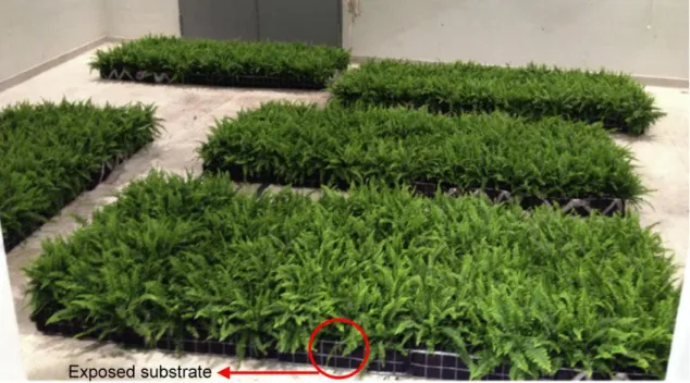 Fig. 9  Garden modules in study of Davis et al. [11] 