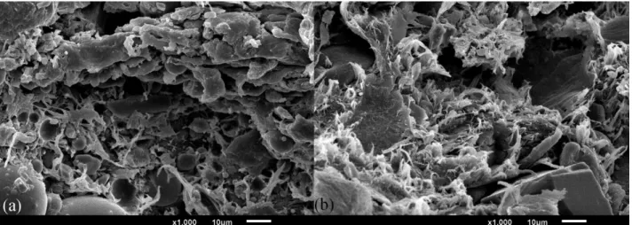 Fig. 14 (a) fracture section of rWPCs with density = 1.48 g/cm 3  (b) fracture section of  rWPCs with density = 1.38 g/cm 3 