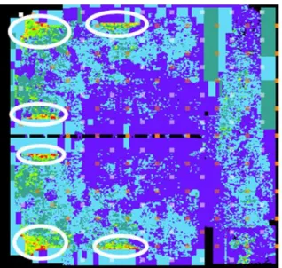 Figure 1.1 IR-drop map of a real chip [Fang 18] 