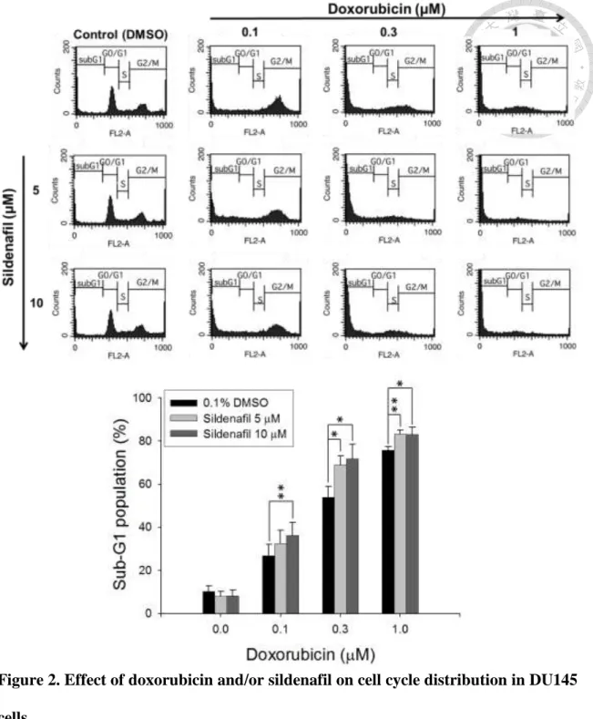 Figure 2. Effect of doxorubicin and/or sildenafil on cell cycle distribution in DU145  cells